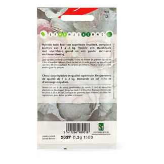 VT Rode kool zaad  | VT | 10 stuks  W170116665 - 4
