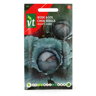 VT Rode kool zaad  | VT 50001540 K170116665
