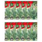 VT Rozemarijn zaad | VT | 10 stuks  W170116698 - 1