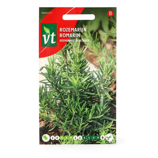 VT Rozemarijn zaad | VT | 5 stuks  V170116698 - 2