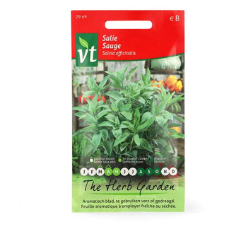 VT Salie zaad | VT | 5 stuks  V170116699 - 2
