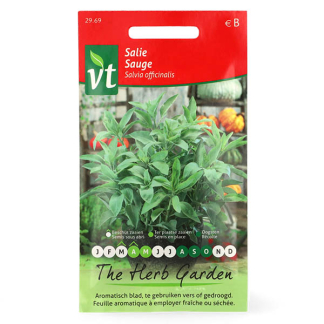 VT Salie zaad | VT 50001228 K170116699