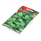 VT Spinazie zaad | VT | 10 stuks  W170116670 - 3