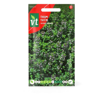 VT Tijm zaad | VT | 5 stuks  V170116700 - 2