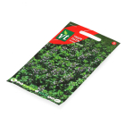 VT Tijm zaad | VT 50001229 K170116700 - 2