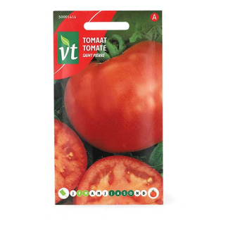 VT Tomatenzaad | VT | 10 stuks (Saint Pierre)  W170116676 - 2