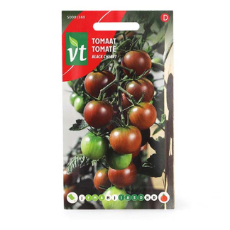 VT Tomatenzaad | VT | 5 stuks (Black cherry)  V170116674 - 2