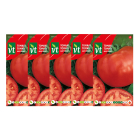 VT Tomatenzaad | VT | 5 stuks (Saint Pierre)  V170116676 - 1
