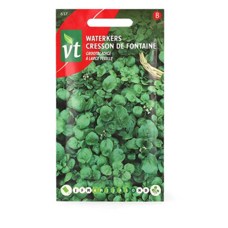 VT Waterkers zaad | VT | 10 stuks  W170116680 - 2