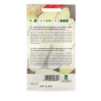 VT Witlofzaad | VT | 5 stuks  V170116682 - 4