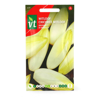 VT Witlofzaad | VT 50001426 K170116682