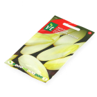 VT Witlofzaad | VT 50001426 K170116682 - 2