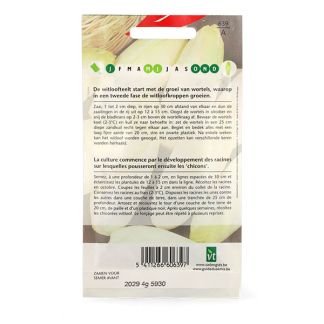 VT Witlofzaad | VT 50001426 K170116682 - 3