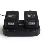 Wolfgang Accu oplader | Wolfgang (Dubbel, 20V, Led indicator) DHZ.WG.0240.023.XX K170116720 - 2