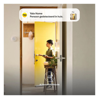 Yale Beveiligingscamera wifi | Yale Home (Full HD, Nachtzicht, Bewegingsdetectie, Gespreksfunctie, 2.4 GHz, Binnen) A000460919 K010810006 - 4