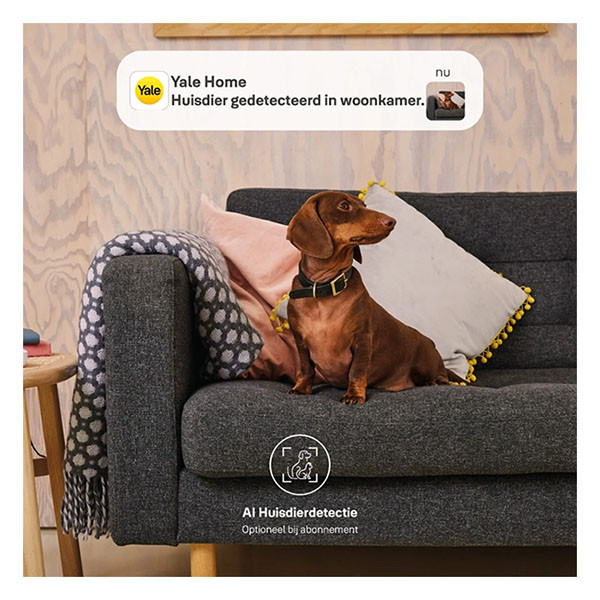 Yale Beveiligingscamera wifi | Yale Home (Full HD, Nachtzicht, Bewegingsdetectie, Gespreksfunctie, 2.4 GHz, Binnen) A000460919 K010810006 - 8