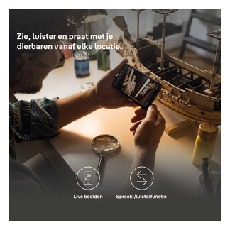 Yale Beveiligingscamera wifi | Yale Home (Full HD, Nachtzicht, Gespreksfunctie, Bewegingsdetectie, 2.4 GHz, Binnen) A000460919 K010810006 - 9