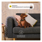 Yale IP camera  | Yale Home (Full HD, Nachtzicht, Gespreksfunctie, Bewegingsdetectie, 2.4 GHz, Binnen) A000460919 B010810006 - 8