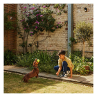 Yale Slimme bewegingssensor | Yale Home (Wifi, Buiten, 12 meter) A000461051 K010810022 - 7