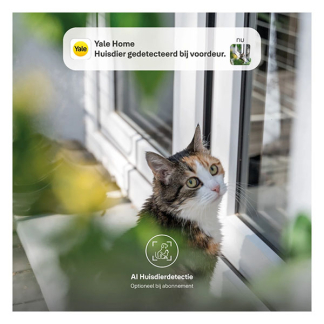 Yale Slimme deurbel | Yale Home (Abonnement vrij, Full HD, Nachtzicht, Bewegingsdetectie, Gespreksfunctie) A000460922 K010810008 - 8