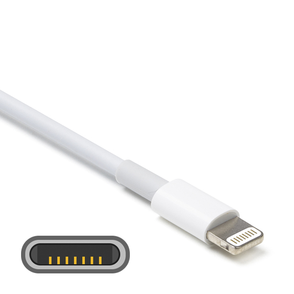 Kruiden Goodwill Tijdreeksen ⋙ iPad kabel kopen? | Voor elke soort iPad | Kabelshop.nl