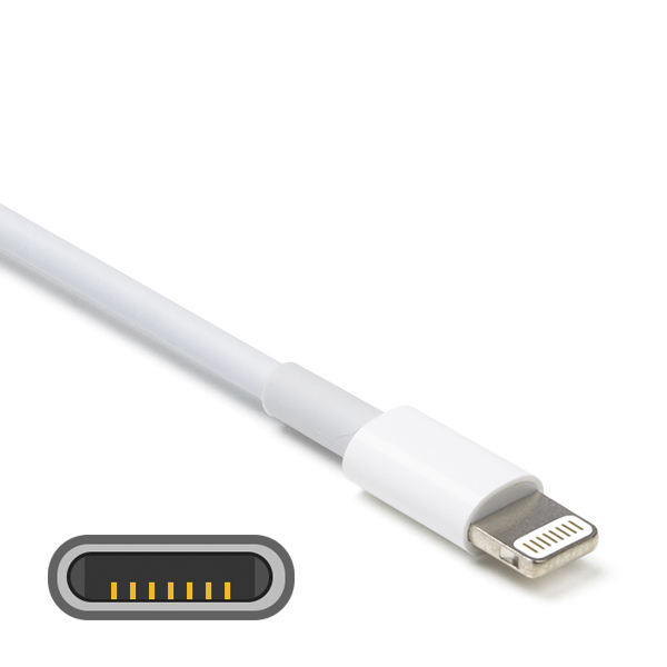 Beknopt Namens boeren ⋙ iPad kabel kopen? | Voor elke soort iPad | Kabelshop.nl