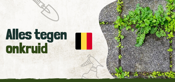 Alles tegen onkruid