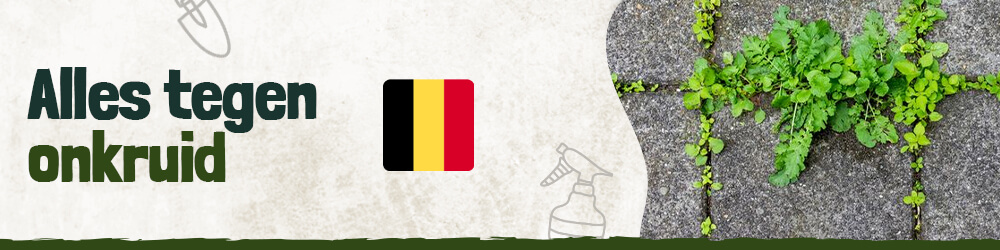 Alles tegen onkruid Belgie