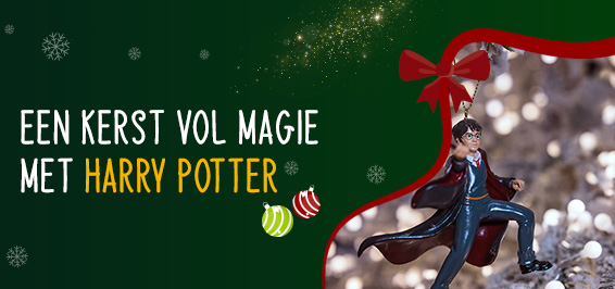 Beleef magische dagen met Harry Potter ✨🧙‍♂️