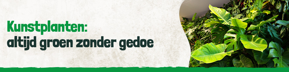 Altijd een groene omgeving zonder onderhoud 