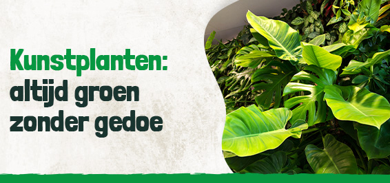 Altijd een groene omgeving zonder onderhoud 