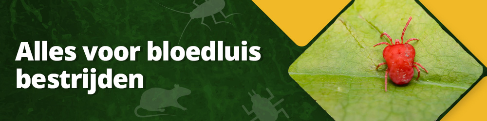 Alles voor bloedluis bestrijden