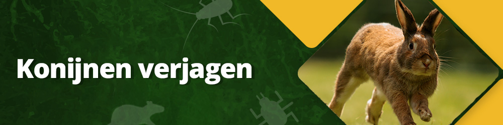 Konijnen verjagen: bescherm je tuin!