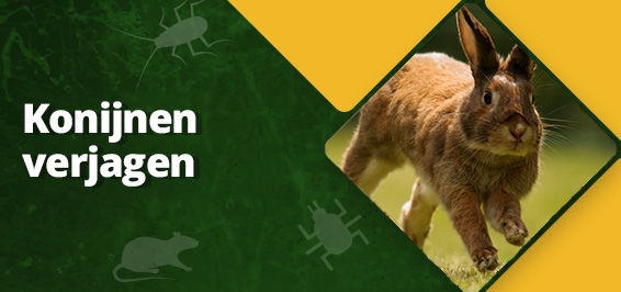 Konijnen verjagen: bescherm je tuin!
