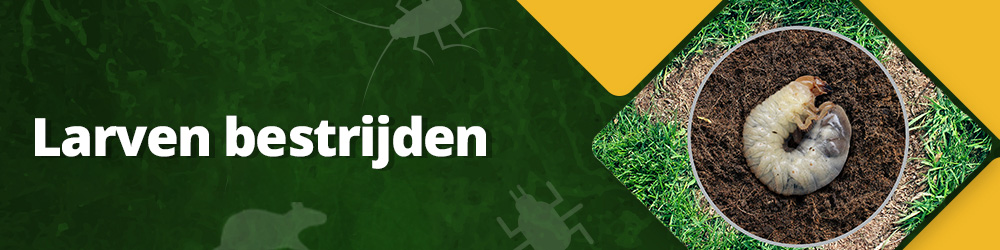 Hoe kun je larven bestrijden?