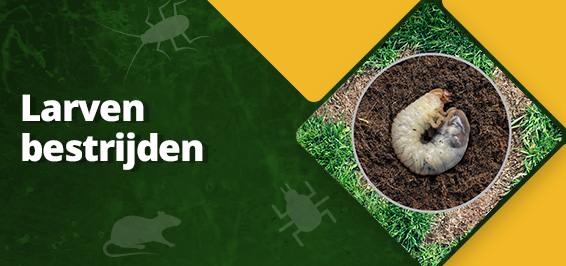 Hoe kun je larven bestrijden?