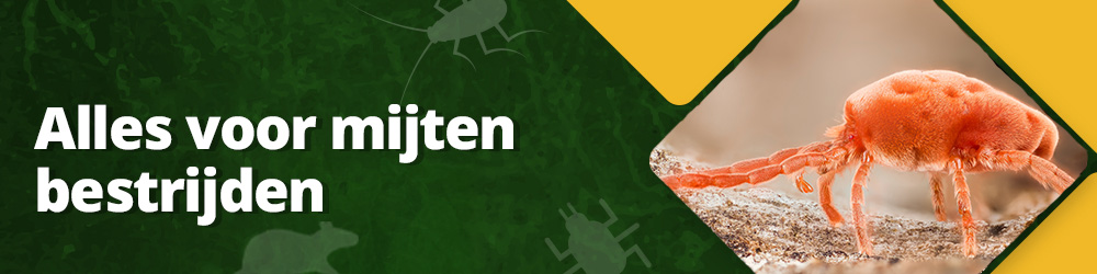 Alles over mijten bestrijden