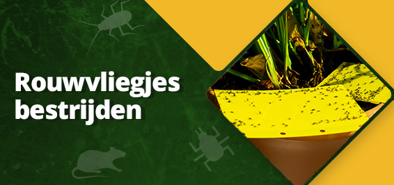 Bestrijdingsmiddelen tegen rouwvliegjes kopen?