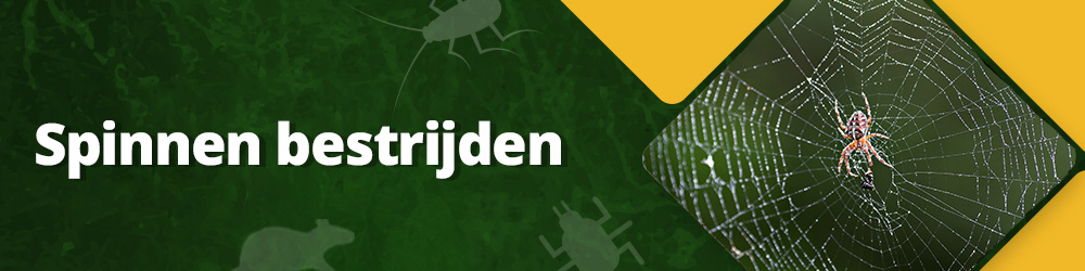 Hoe kun je spinnen bestrijden?