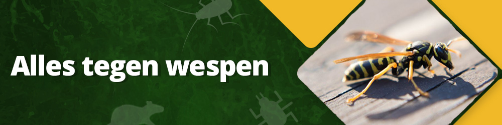 Alles tegen wespen