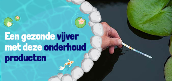 Een gezonde vijver met deze vijverwater onderhoudsproducten