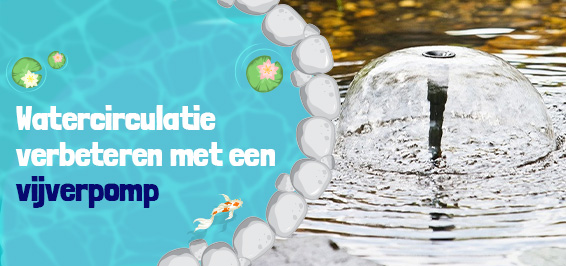 De dagelijkse watercirculatie verbeteren met een vijverpomp