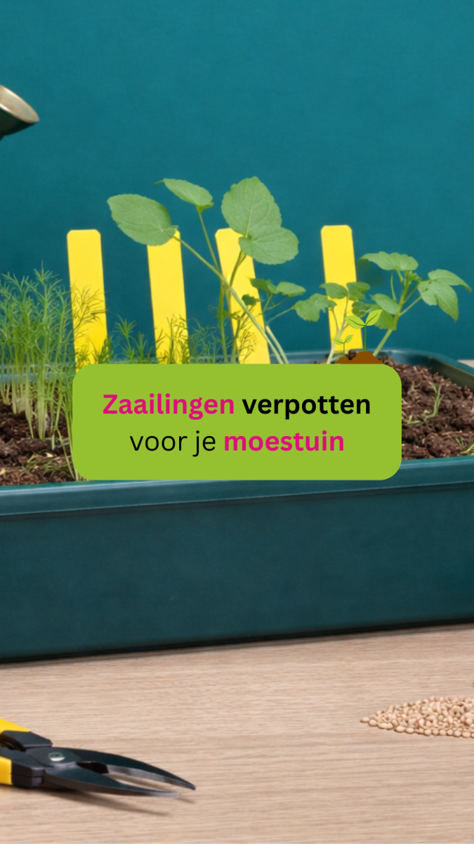 TikTok video @Kabelshop.nl