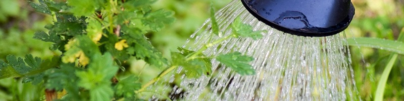 Bestel alles om jouw planten water te geven bij Kabelshop.nl