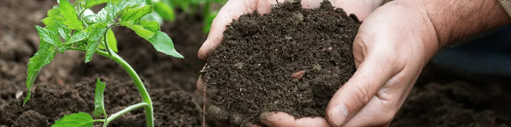 Optimale tuinverzorging met de producten van Kabelshop.nl