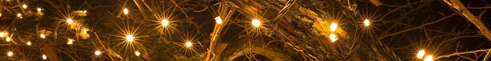 Dimbare Kerstverlichting | Kabelshop.nl