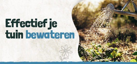 Effectief je tuin bewateren