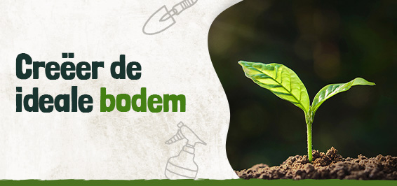 Creëer de ideale bodem