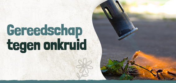 Gereedschap tegen onkruid