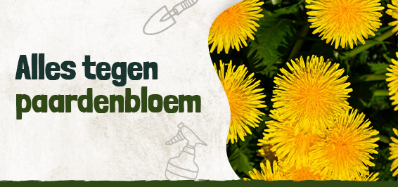 Alles tegen paardenbloem